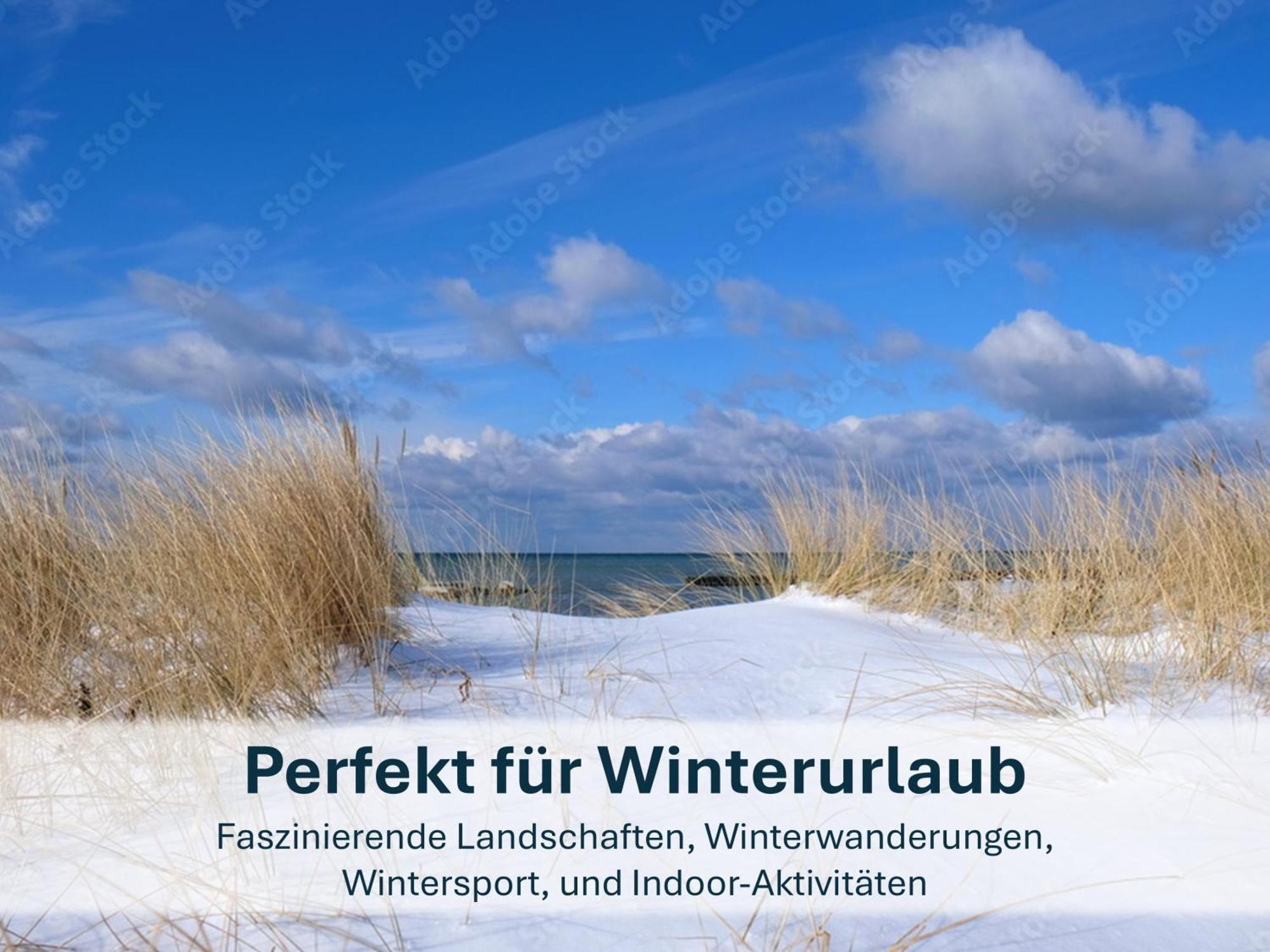 Zinnowitz, Paradies Am Wald - Wg 05 Bagian luar foto